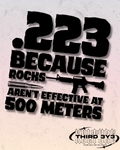 .223 Because Rocks Aren't Effective At 500 Meters | Glossy Vinyl Decal